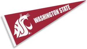 Washington State Flag